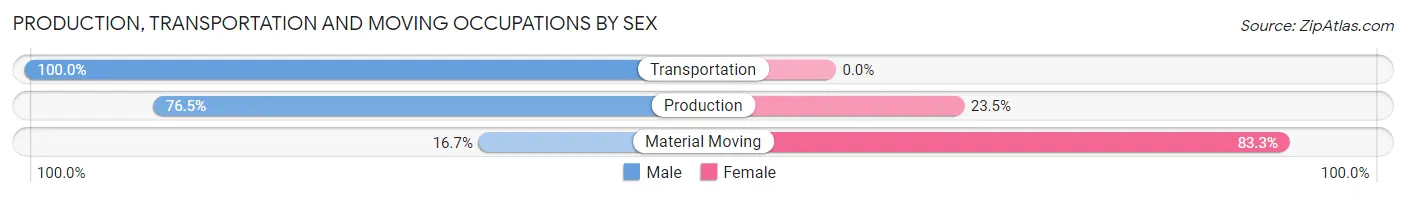 Production, Transportation and Moving Occupations by Sex in Zip Code 22959