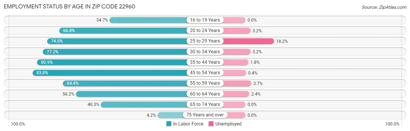 Employment Status by Age in Zip Code 22960