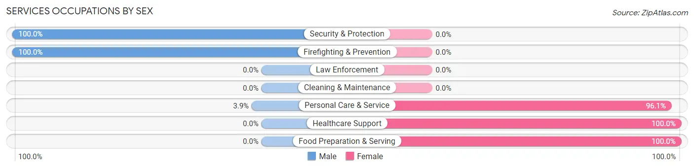 Services Occupations by Sex in Zip Code 22971