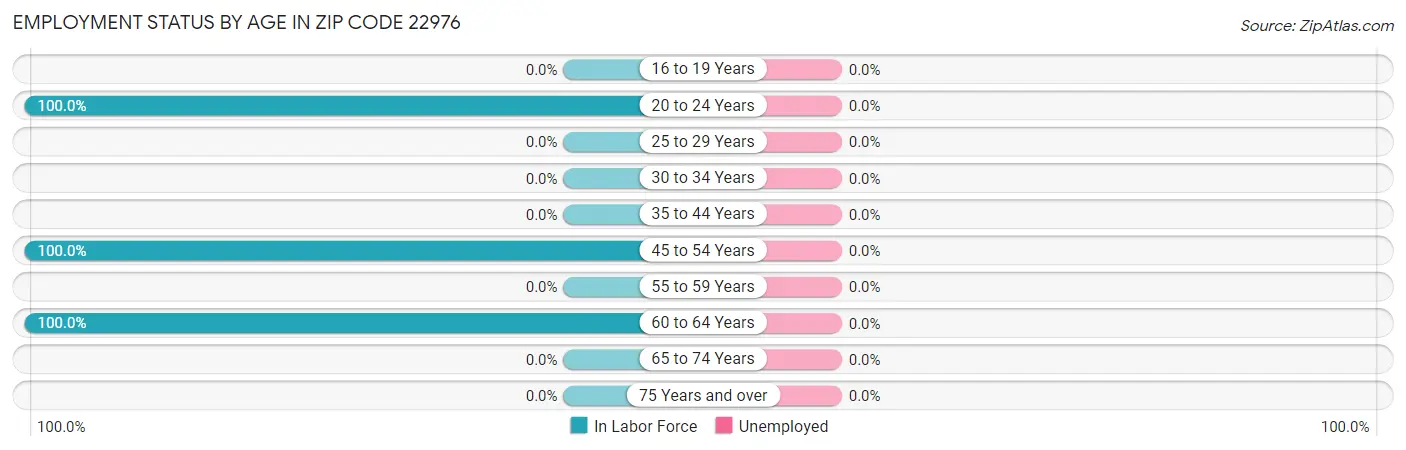 Employment Status by Age in Zip Code 22976