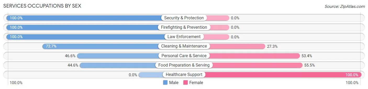 Services Occupations by Sex in Zip Code 23024