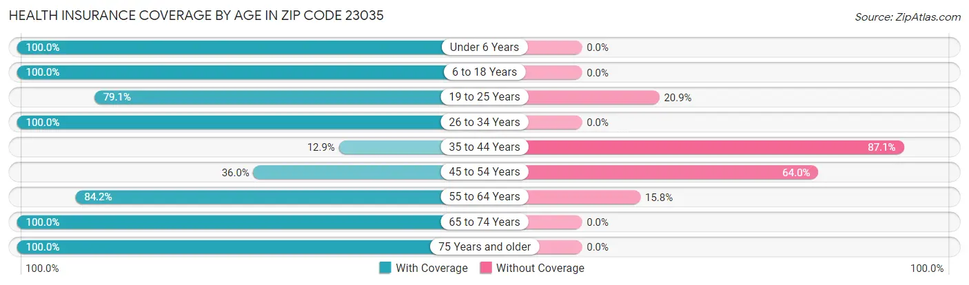 Health Insurance Coverage by Age in Zip Code 23035
