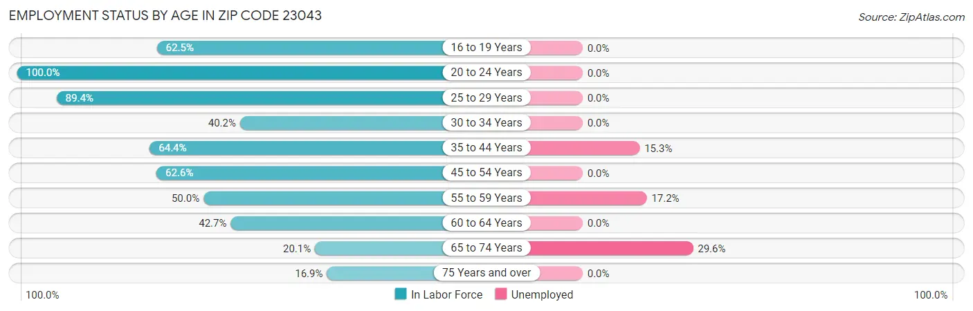 Employment Status by Age in Zip Code 23043