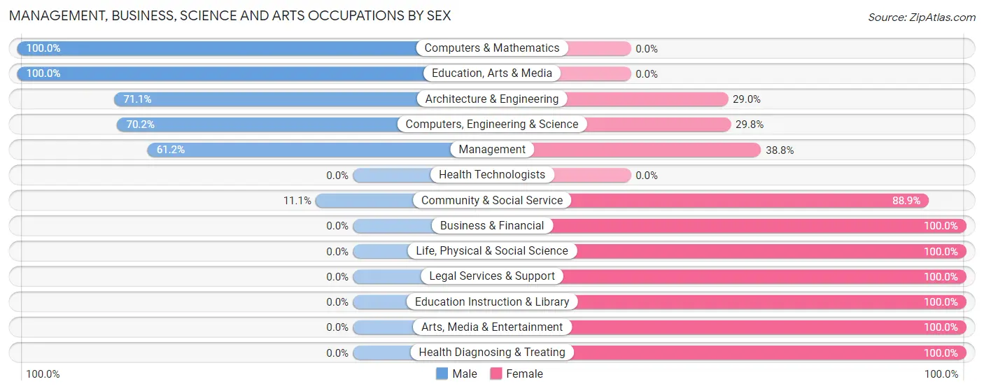 Management, Business, Science and Arts Occupations by Sex in Zip Code 23047