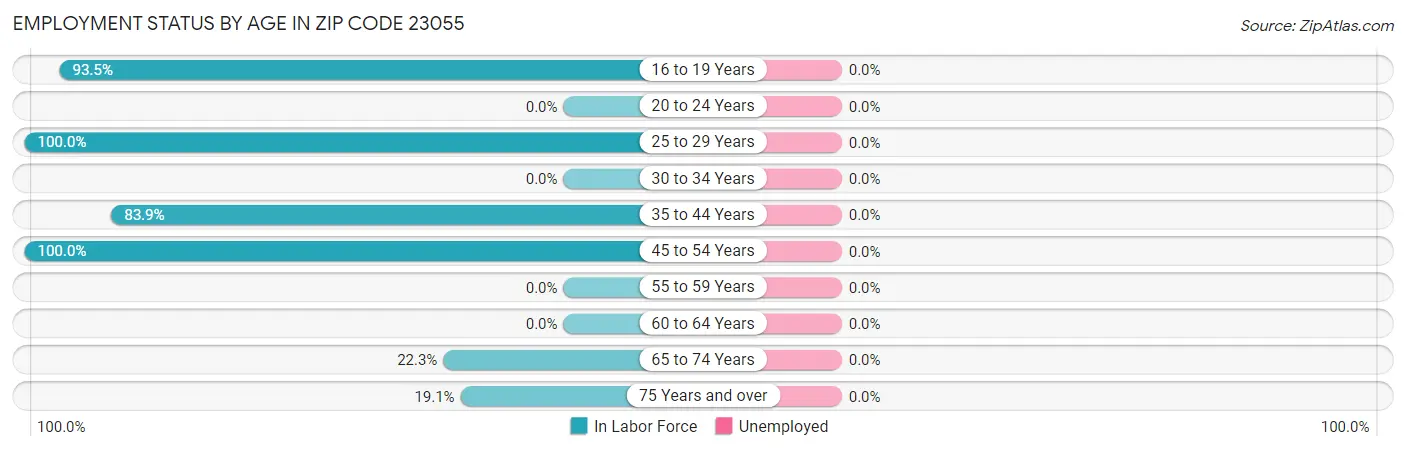 Employment Status by Age in Zip Code 23055