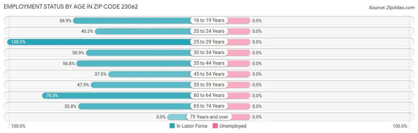 Employment Status by Age in Zip Code 23062