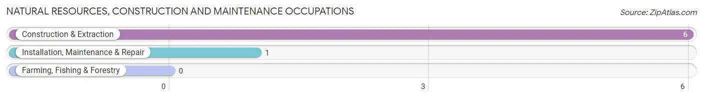 Natural Resources, Construction and Maintenance Occupations in Zip Code 23076