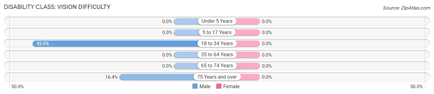 Disability in Zip Code 23076: <span>Vision Difficulty</span>