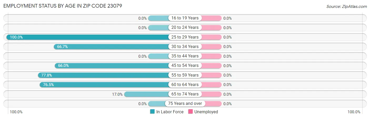 Employment Status by Age in Zip Code 23079