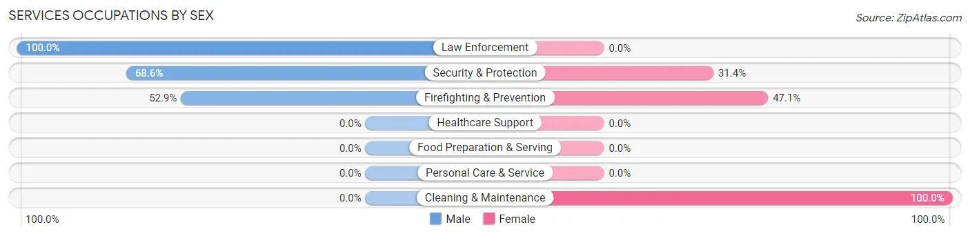 Services Occupations by Sex in Zip Code 23084