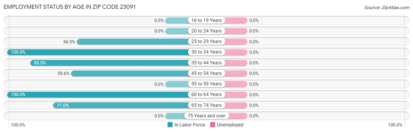 Employment Status by Age in Zip Code 23091