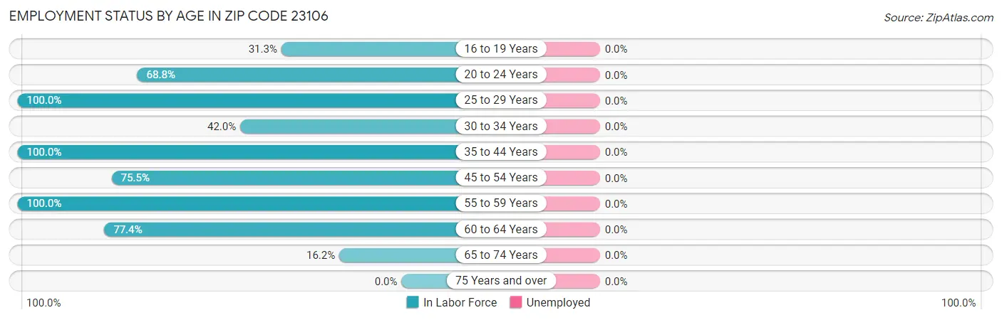 Employment Status by Age in Zip Code 23106