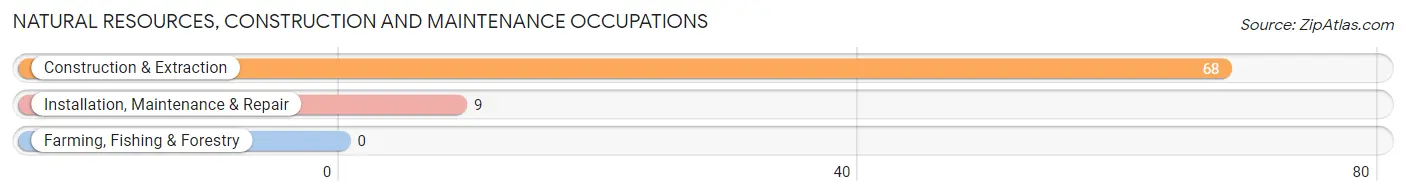 Natural Resources, Construction and Maintenance Occupations in Zip Code 23106