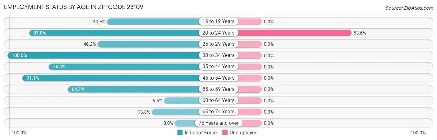 Employment Status by Age in Zip Code 23109