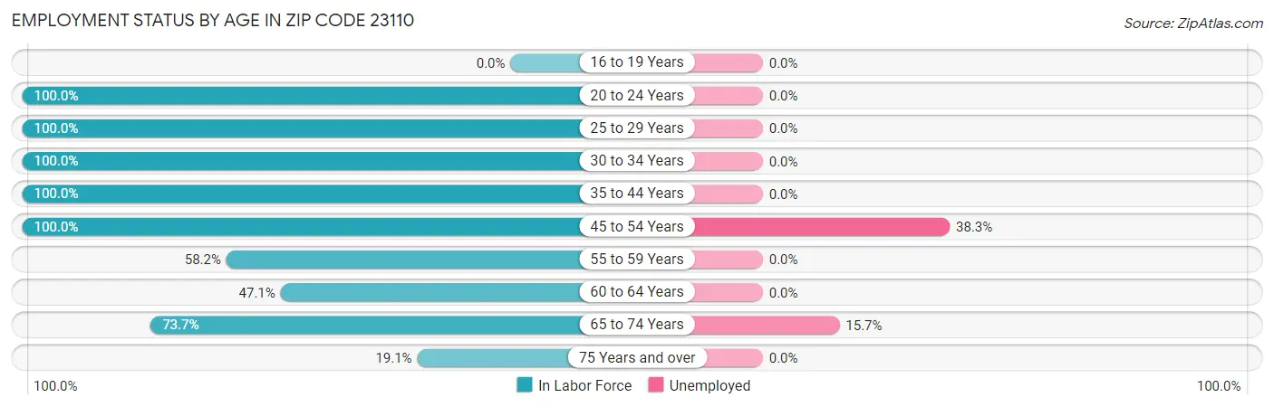 Employment Status by Age in Zip Code 23110