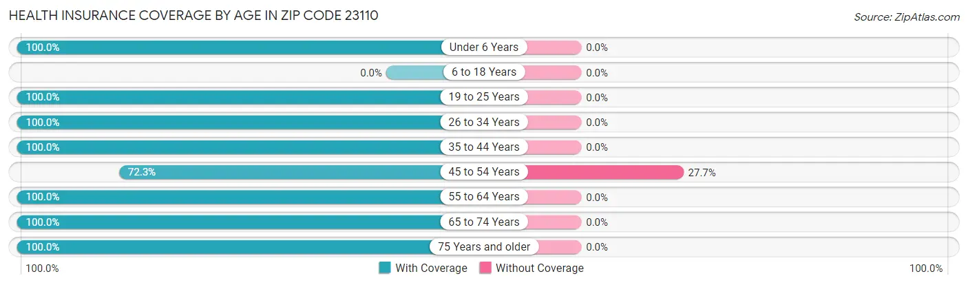 Health Insurance Coverage by Age in Zip Code 23110