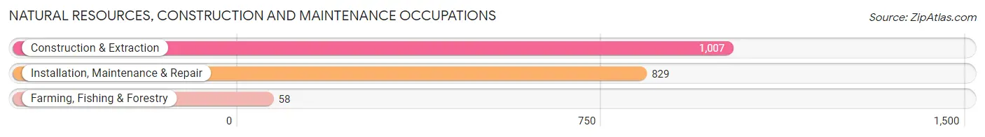 Natural Resources, Construction and Maintenance Occupations in Zip Code 23111