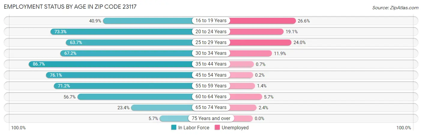 Employment Status by Age in Zip Code 23117