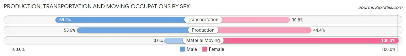 Production, Transportation and Moving Occupations by Sex in Zip Code 23126