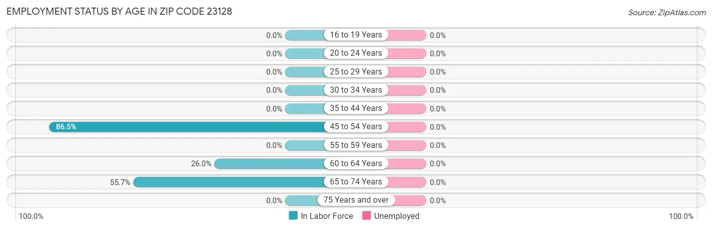 Employment Status by Age in Zip Code 23128