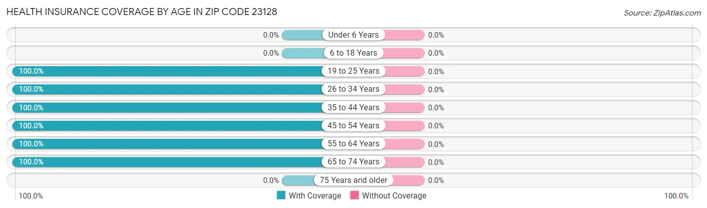 Health Insurance Coverage by Age in Zip Code 23128