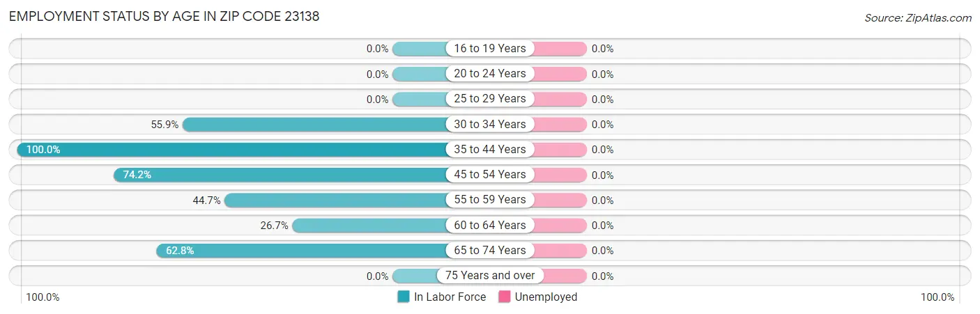 Employment Status by Age in Zip Code 23138