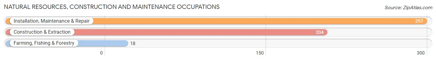 Natural Resources, Construction and Maintenance Occupations in Zip Code 23141