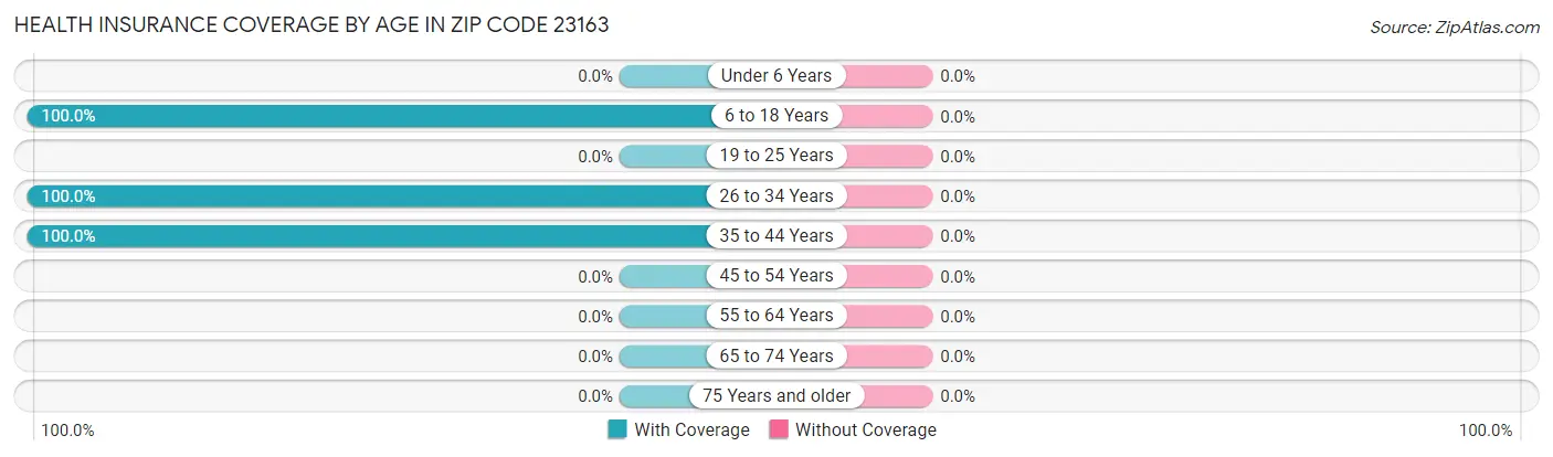 Health Insurance Coverage by Age in Zip Code 23163