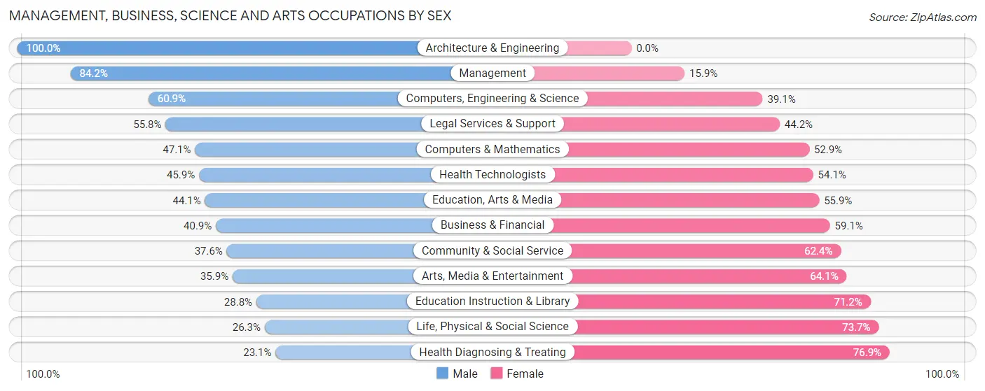 Management, Business, Science and Arts Occupations by Sex in Zip Code 23168
