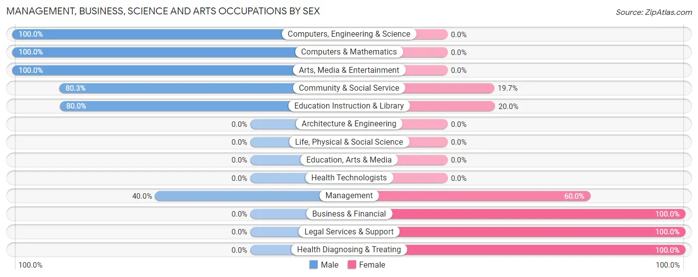 Management, Business, Science and Arts Occupations by Sex in Zip Code 23169