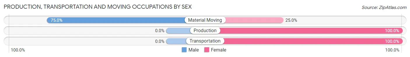 Production, Transportation and Moving Occupations by Sex in Zip Code 23173