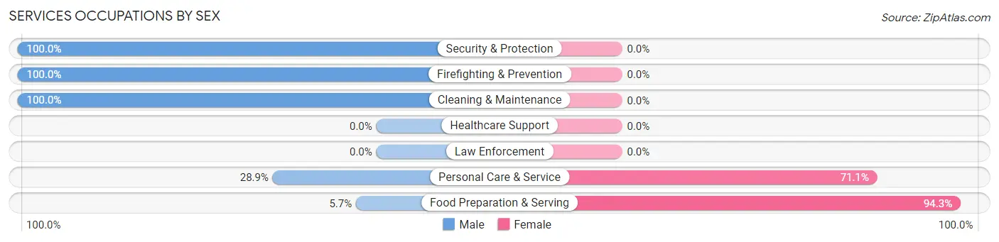 Services Occupations by Sex in Zip Code 23173