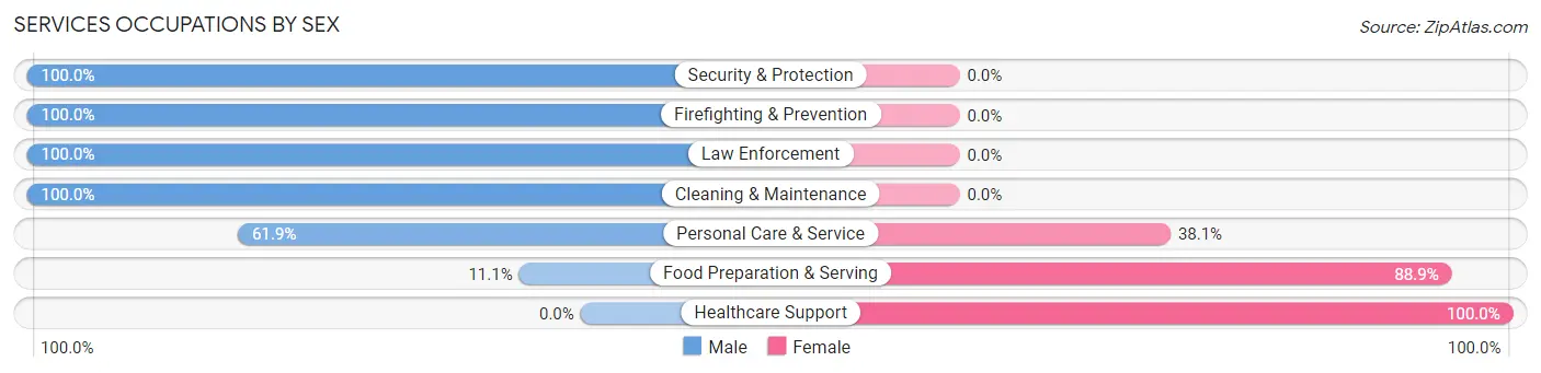 Services Occupations by Sex in Zip Code 23175