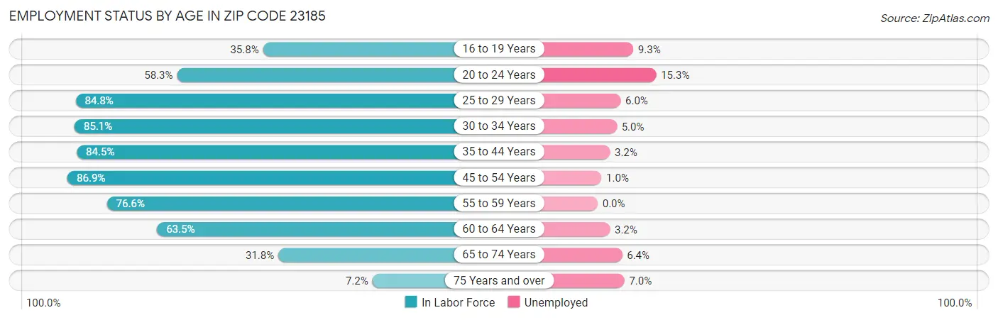 Employment Status by Age in Zip Code 23185