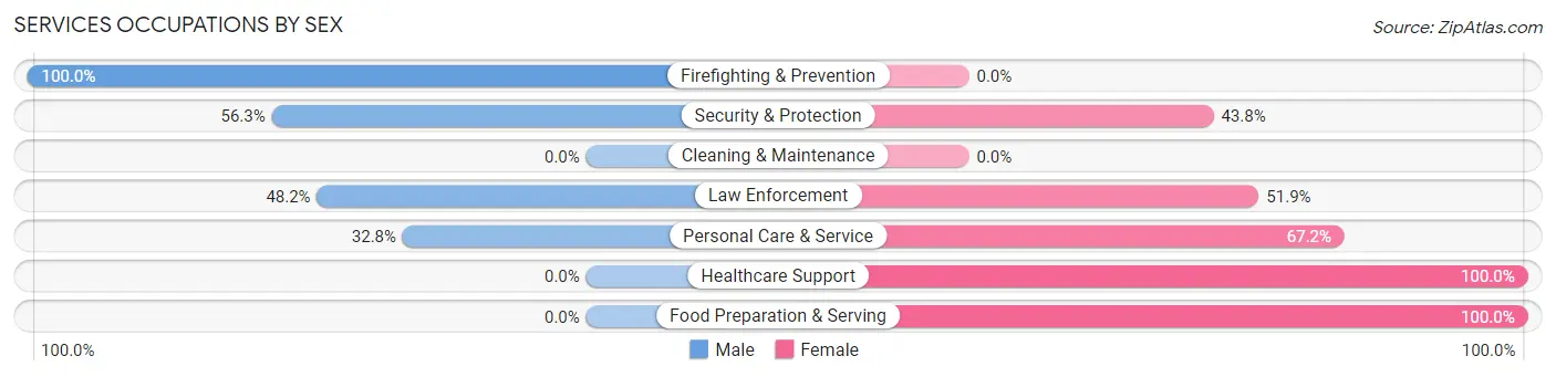 Services Occupations by Sex in Zip Code 23219