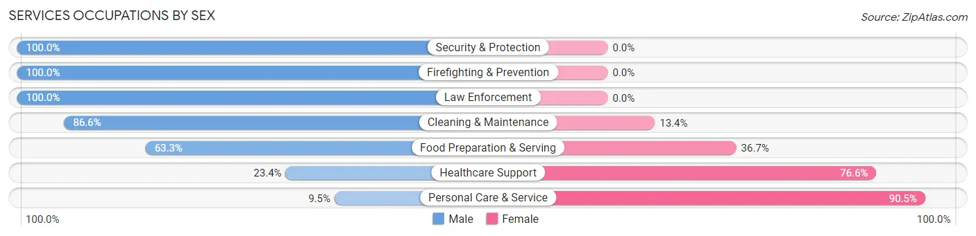 Services Occupations by Sex in Zip Code 23221