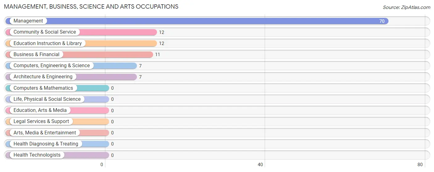 Management, Business, Science and Arts Occupations in Zip Code 23303