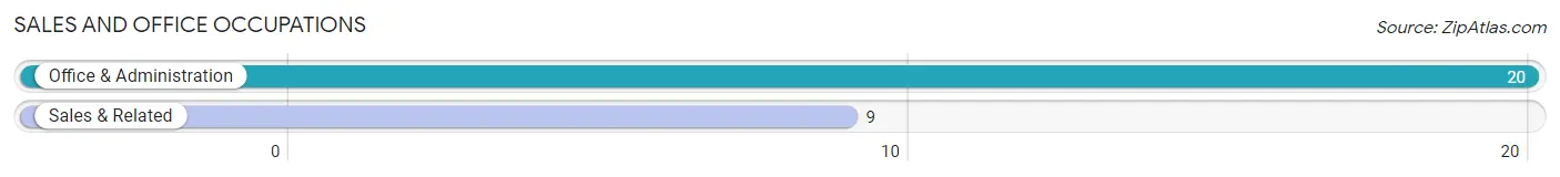 Sales and Office Occupations in Zip Code 23303