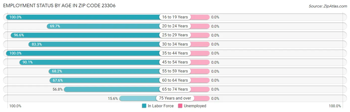 Employment Status by Age in Zip Code 23306