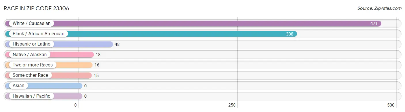 Race in Zip Code 23306