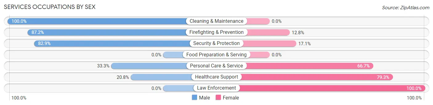 Services Occupations by Sex in Zip Code 23308