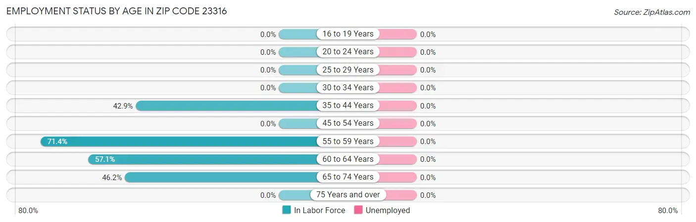 Employment Status by Age in Zip Code 23316