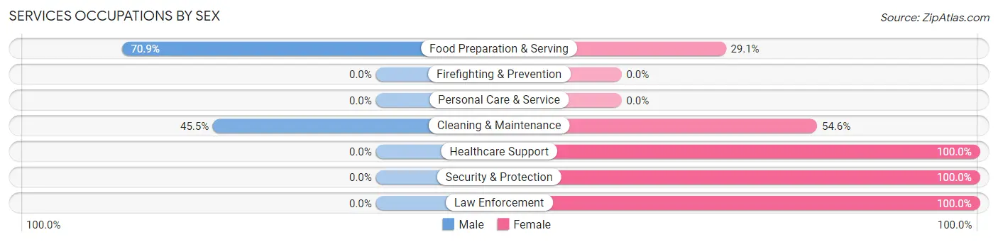 Services Occupations by Sex in Zip Code 23336