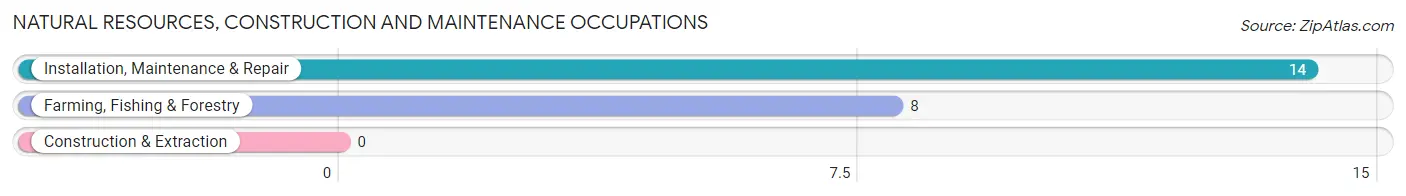 Natural Resources, Construction and Maintenance Occupations in Zip Code 23356