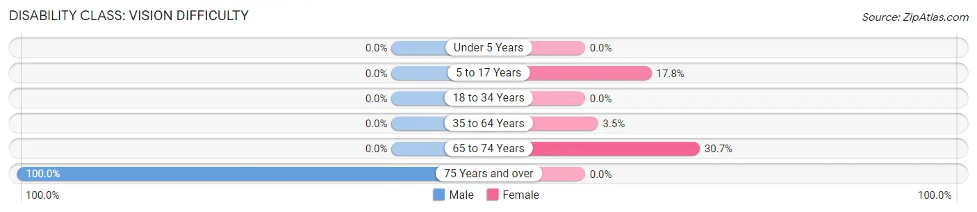 Disability in Zip Code 23415: <span>Vision Difficulty</span>