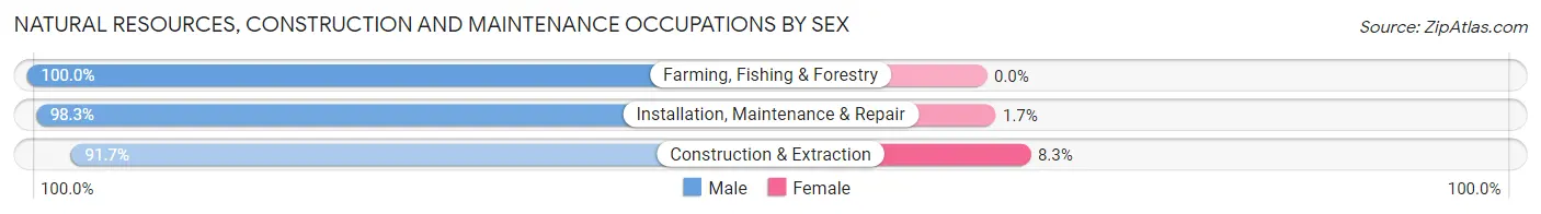 Natural Resources, Construction and Maintenance Occupations by Sex in Zip Code 23455