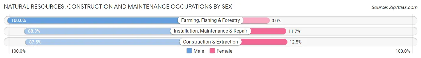 Natural Resources, Construction and Maintenance Occupations by Sex in Zip Code 23462
