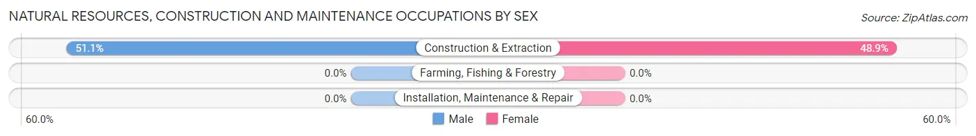 Natural Resources, Construction and Maintenance Occupations by Sex in Zip Code 23486