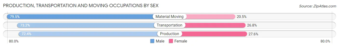 Production, Transportation and Moving Occupations by Sex in Zip Code 23502