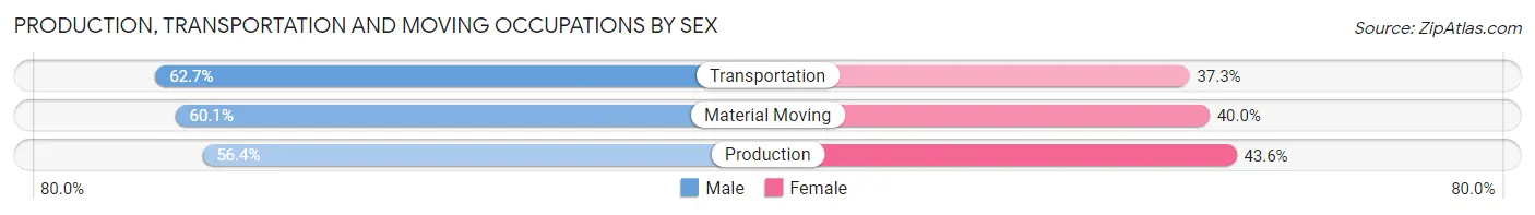 Production, Transportation and Moving Occupations by Sex in Zip Code 23504